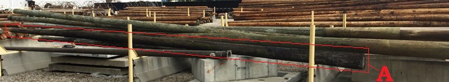Treated Wood Power Pole A